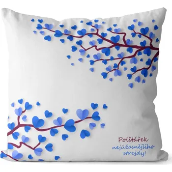 Dekorativní polštářek Polštář Nejúžasnějšího strejdy (Velikost: 40 x 40 cm)