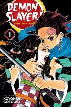 Demon Slayer: Kimetsu no Yaiba 1 - Gotouge Koyoharu [EN] (2018, brožovaná)
