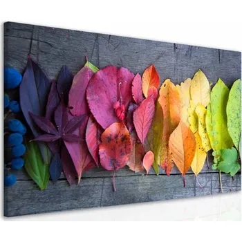 Obraz Malvis ® Obraz kouzlo podzimní atmosféry Velikost (šířka x výška): 30x20 cm