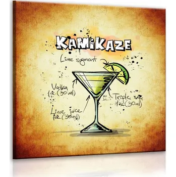 Malvis ® Obraz cedule Kamikaze Velikost (šířka x výška): 40x40 cm