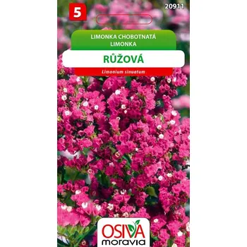 Semeno Limonka chobotnatá - růžová