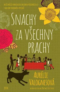 Snachy za všechny prachy - Aurélie Valognesová (2021, pevná)