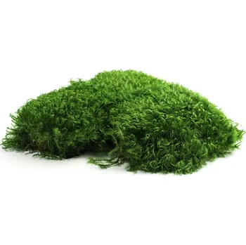 Dekorační stabilizovaný mech kopečkový 0,25 kg, tm. zelený (bochánky)