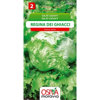 Semeno Salát hlávkový ledový - Regina dei ghiacci