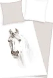 Herding Kůň portrét 140 x 200, 70 x 90…
