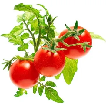 Click and Grow Mini rajčata kapsle 3 ks