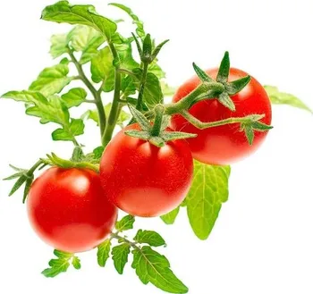 Semeno Click and Grow Mini rajčata kapsle 3 ks
