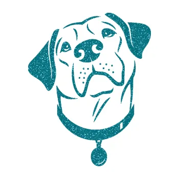 Polep vozidla SAMOLEPKA Pes 119 levá Labrador (92 - Ultra Metalic tyrkysová) NA AUTO, NÁLEPKA, FÓLIE, POLEP, TUNING, VLASTNÍ TEXT, TISK, AUTOSAMOLEPKY.cz, POLEPY, OBRÁZEK, LOGO, SAMOLEPKY