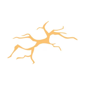 Samolepící dekorace Prasklina 001 (08 - béžová) SAMOLEPKA NA AUTO, NÁLEPKA, FÓLIE, POLEP, TUNING, VLASTNÍ TEXT, TISK, AUTOSAMOLEPKY.cz, POLEPY, OBRÁZEK, LOGO, 3D STICKERS