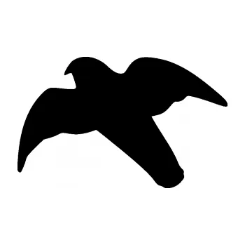 Samolepící dekorace SAMOLEPKA Dravec na sklo 003 levá (01 - černá) NA AUTO, NÁLEPKA, FÓLIE, POLEP, TUNING, VLASTNÍ TEXT, TISK, AUTOSAMOLEPKY.cz, POLEPY, OBRÁZEK, LOGO, SAMOLEPKY