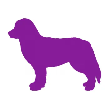 Polep vozidla SAMOLEPKA Pes 157 levá bernský salašnický (14 - fialová) NA AUTO, NÁLEPKA, FÓLIE, POLEP, TUNING, VLASTNÍ TEXT, TISK, AUTOSAMOLEPKY.cz, POLEPY, OBRÁZEK, LOGO, SAMOLEPKY