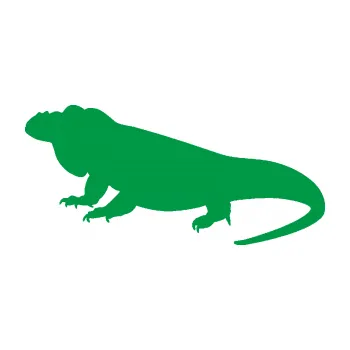 Samolepící dekorace Leguán 001 levá (12 - zelená) SAMOLEPKA NA AUTO, NÁLEPKA, FÓLIE, POLEP, TUNING, VLASTNÍ TEXT, TISK, AUTOSAMOLEPKY.cz, POLEPY, OBRÁZEK, LOGO, 3D STICKERS