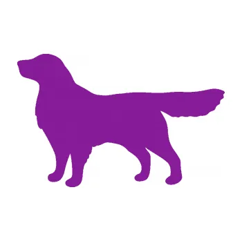 Polep vozidla SAMOLEPKA Pes 111 levá Retrívr (14 - fialová) NA AUTO, NÁLEPKA, FÓLIE, POLEP, TUNING, VLASTNÍ TEXT, TISK, AUTOSAMOLEPKY.cz, POLEPY, OBRÁZEK, LOGO, SAMOLEPKY