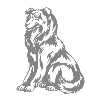 samolepka Pes 037 levá Kolie (17 - šedá) SAMOLEPKA NA AUTO, NÁLEPKA, FÓLIE, POLEP, TUNING, VLASTNÍ TEXT, TISK, AUTOSAMOLEPKY.cz, POLEPY, OBRÁZEK, LOGO, 3D STICKERS