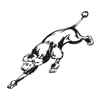 samolepka Pes 022 levá Pudl (85 - Ultra Metalic černá) SAMOLEPKA NA AUTO, NÁLEPKA, FÓLIE, POLEP, TUNING, VLASTNÍ TEXT, TISK, AUTOSAMOLEPKY.cz, POLEPY, OBRÁZEK, LOGO, 3D STICKERS