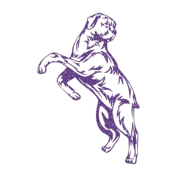 Polep vozidla SAMOLEPKA Pes 033 levá (87 - Ultra Metalic fialová) NA AUTO, NÁLEPKA, FÓLIE, POLEP, TUNING, VLASTNÍ TEXT, TISK, AUTOSAMOLEPKY.cz, POLEPY, OBRÁZEK, LOGO, SAMOLEPKY