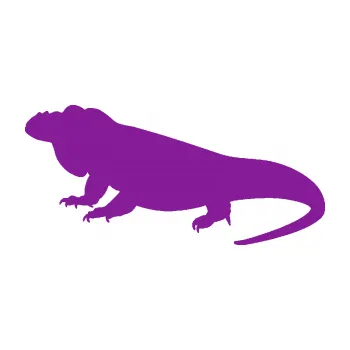 Samolepící dekorace Leguán 001 levá (14 - fialová) SAMOLEPKA NA AUTO, NÁLEPKA, FÓLIE, POLEP, TUNING, VLASTNÍ TEXT, TISK, AUTOSAMOLEPKY.cz, POLEPY, OBRÁZEK, LOGO, 3D STICKERS