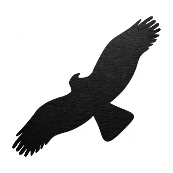 Samolepící dekorace SAMOLEPKA Dravec na sklo 001 levá (63 - škrábaný kov černý) NA AUTO, NÁLEPKA, FÓLIE, POLEP, TUNING, VLASTNÍ TEXT, TISK, AUTOSAMOLEPKY.cz, POLEPY, OBRÁZEK, LOGO, SAMOLEPKY