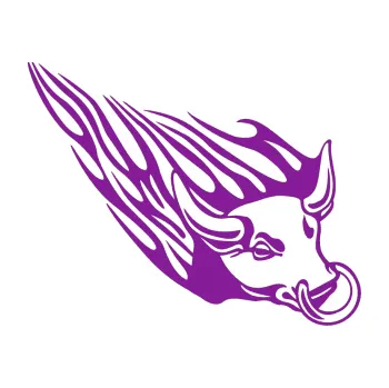 Samolepicí dekorace na vozidlo Animal flames 010 pravá býk s kruhem (14 - fialová) SAMOLEPKA NA AUTO, NÁLEPKA, FÓLIE, POLEP, TUNING, VLASTNÍ TEXT, TISK, AUTOSAMOLEPKY.cz, POLEPY, OBRÁZEK, LOGO, 3D STICKERS