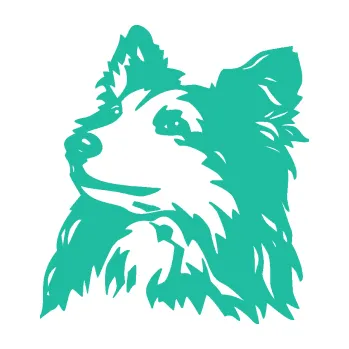 Polep vozidla Pes 141 levá šeltie (25 - tyrkysová) SAMOLEPKA NA AUTO, NÁLEPKA, FÓLIE, POLEP, TUNING, VLASTNÍ TEXT, TISK, AUTOSAMOLEPKY.cz, POLEPY, OBRÁZEK, LOGO, 3D STICKERS