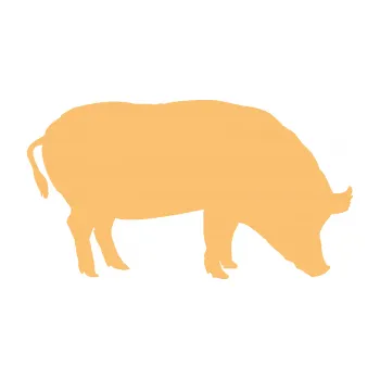 Samolepící dekorace SAMOLEPKA Prase 004 pravá (08 - béžová) NA AUTO, NÁLEPKA, FÓLIE, POLEP, TUNING, VLASTNÍ TEXT, TISK, AUTOSAMOLEPKY.cz, POLEPY, OBRÁZEK, LOGO, SAMOLEPKY