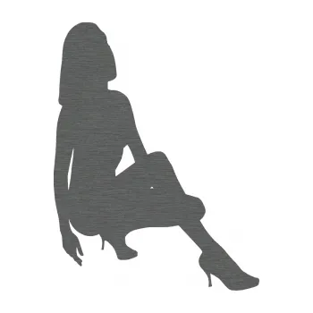 Polep vozidla Erotická žena 041 pravá (62 - škrábaný titan) SAMOLEPKA NA AUTO, NÁLEPKA, FÓLIE, POLEP, TUNING, VLASTNÍ TEXT, TISK, AUTOSAMOLEPKY.cz, POLEPY, OBRÁZEK, LOGO, 3D STICKERS