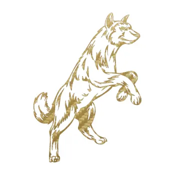 Polep vozidla SAMOLEPKA Pes 025 pravá (59 - 3D karbon zlatý) NA AUTO, NÁLEPKA, FÓLIE, POLEP, TUNING, VLASTNÍ TEXT, TISK, AUTOSAMOLEPKY.cz, POLEPY, OBRÁZEK, LOGO, SAMOLEPKY