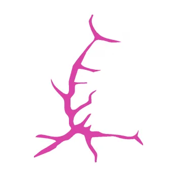 Samolepící dekorace Prasklina 006 (16 - růžová) SAMOLEPKA NA AUTO, NÁLEPKA, FÓLIE, POLEP, TUNING, VLASTNÍ TEXT, TISK, AUTOSAMOLEPKY.cz, POLEPY, OBRÁZEK, LOGO, 3D STICKERS