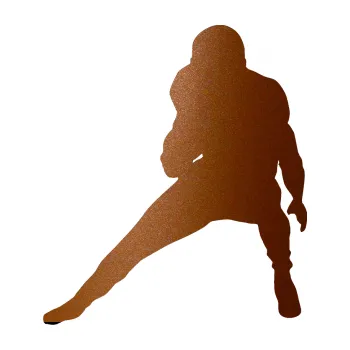 Polep vozidla Americký fotbal 010 levá (44 - měděná metalíza) SAMOLEPKA NA AUTO, NÁLEPKA, FÓLIE, POLEP, TUNING, VLASTNÍ TEXT, TISK, AUTOSAMOLEPKY.cz, POLEPY, OBRÁZEK, LOGO, 3D STICKERS