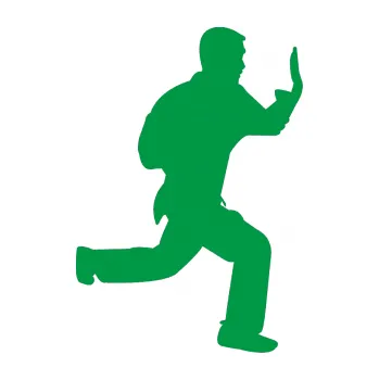 Polep vozidla Karate 002 pravá (12 - zelená) SAMOLEPKA NA AUTO, NÁLEPKA, FÓLIE, POLEP, TUNING, VLASTNÍ TEXT, TISK, AUTOSAMOLEPKY.cz, POLEPY, OBRÁZEK, LOGO, 3D STICKERS