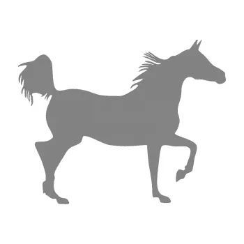 Samolepící dekorace SAMOLEPKA Kůň 009 pravá (17 - šedá) NA AUTO, NÁLEPKA, FÓLIE, POLEP, TUNING, VLASTNÍ TEXT, TISK, AUTOSAMOLEPKY.cz, POLEPY, OBRÁZEK, LOGO, SAMOLEPKY
