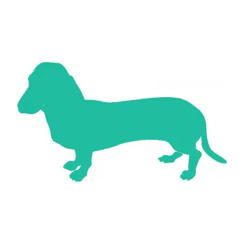 Polep vozidla SAMOLEPKA Pes 094 levá Baset (25 - tyrkysová) NA AUTO, NÁLEPKA, FÓLIE, POLEP, TUNING, VLASTNÍ TEXT, TISK, AUTOSAMOLEPKY.cz, POLEPY, OBRÁZEK, LOGO, SAMOLEPKY