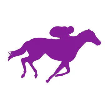 Samolepící dekorace Kůň 027 pravá závodí s jezdcem (14 - fialová) SAMOLEPKA NA AUTO, NÁLEPKA, FÓLIE, POLEP, TUNING, VLASTNÍ TEXT, TISK, AUTOSAMOLEPKY.cz, POLEPY, OBRÁZEK, LOGO, 3D STICKERS