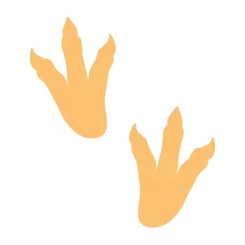 Samolepící dekorace Dinosaurus stopy 001 levá (08 - béžová) SAMOLEPKA NA AUTO, NÁLEPKA, FÓLIE, POLEP, TUNING, VLASTNÍ TEXT, TISK, AUTOSAMOLEPKY.cz, POLEPY, OBRÁZEK, LOGO, 3D STICKERS