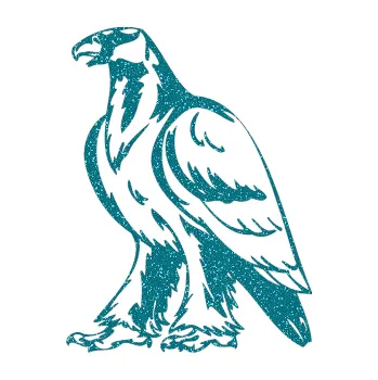 Samolepicí dekorace na vozidlo Predators 040 levá orel (92 - Ultra Metalic tyrkysová) SAMOLEPKA NA AUTO, NÁLEPKA, FÓLIE, POLEP, TUNING, VLASTNÍ TEXT, TISK, AUTOSAMOLEPKY.cz, POLEPY, OBRÁZEK, LOGO, 3D STICKERS