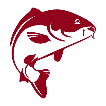 Polep vozidla SAMOLEPKA Kapr 005 pravá (07 - bordó vínová) NA AUTO, NÁLEPKA, FÓLIE, POLEP, TUNING, VLASTNÍ TEXT, TISK, AUTOSAMOLEPKY.cz, POLEPY, OBRÁZEK, LOGO, SAMOLEPKY