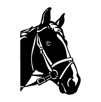 Samolepící dekorace Kůň 028 pravá hlava s uzdou (01 - černá) SAMOLEPKA NA AUTO, NÁLEPKA, FÓLIE, POLEP, TUNING, VLASTNÍ TEXT, TISK, AUTOSAMOLEPKY.cz, POLEPY, OBRÁZEK, LOGO, 3D STICKERS