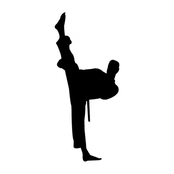 Polep vozidla Karate 005 levá (01 - černá) SAMOLEPKA NA AUTO, NÁLEPKA, FÓLIE, POLEP, TUNING, VLASTNÍ TEXT, TISK, AUTOSAMOLEPKY.cz, POLEPY, OBRÁZEK, LOGO, 3D STICKERS