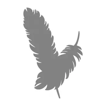 Samolepící dekorace SAMOLEPKA Peříčka 002 levá (17 - šedá) NA AUTO, NÁLEPKA, FÓLIE, POLEP, TUNING, VLASTNÍ TEXT, TISK, AUTOSAMOLEPKY.cz, POLEPY, OBRÁZEK, LOGO, SAMOLEPKY