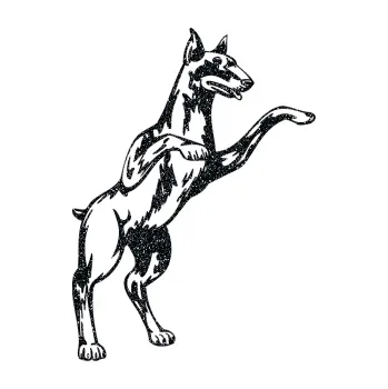 Polep vozidla SAMOLEPKA Pes 028 pravá (85 - Ultra Metalic černá) NA AUTO, NÁLEPKA, FÓLIE, POLEP, TUNING, VLASTNÍ TEXT, TISK, AUTOSAMOLEPKY.cz, POLEPY, OBRÁZEK, LOGO, SAMOLEPKY