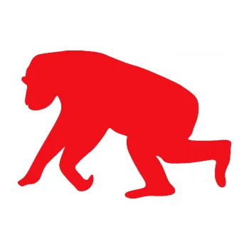 Samolepící dekorace SAMOLEPKA Opice 001 levá (10 - červená) NA AUTO, NÁLEPKA, FÓLIE, POLEP, TUNING, VLASTNÍ TEXT, TISK, AUTOSAMOLEPKY.cz, POLEPY, OBRÁZEK, LOGO, SAMOLEPKY