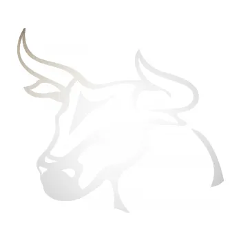 Samolepící dekorace SAMOLEPKA Býk 005 levá (82 - odrazková reflexní bílá) NA AUTO, NÁLEPKA, FÓLIE, POLEP, TUNING, VLASTNÍ TEXT, TISK, AUTOSAMOLEPKY.cz, POLEPY, OBRÁZEK, LOGO, SAMOLEPKY