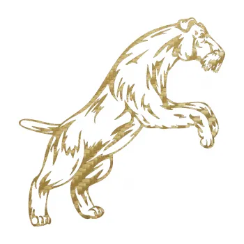 Polep vozidla SAMOLEPKA Pes 005 pravá Knírač (59 - 3D karbon zlatý) NA AUTO, NÁLEPKA, FÓLIE, POLEP, TUNING, VLASTNÍ TEXT, TISK, AUTOSAMOLEPKY.cz, POLEPY, OBRÁZEK, LOGO, SAMOLEPKY