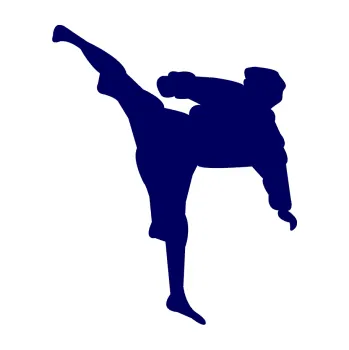 Polep vozidla Karate 009 levá (23 - tmavě modrá) SAMOLEPKA NA AUTO, NÁLEPKA, FÓLIE, POLEP, TUNING, VLASTNÍ TEXT, TISK, AUTOSAMOLEPKY.cz, POLEPY, OBRÁZEK, LOGO, 3D STICKERS