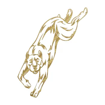 Polep vozidla SAMOLEPKA Pes 008 levá Pitbull (59 - 3D karbon zlatý) NA AUTO, NÁLEPKA, FÓLIE, POLEP, TUNING, VLASTNÍ TEXT, TISK, AUTOSAMOLEPKY.cz, POLEPY, OBRÁZEK, LOGO, SAMOLEPKY