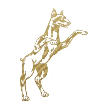 Polep vozidla SAMOLEPKA Pes 028 pravá (59 - 3D karbon zlatý) NA AUTO, NÁLEPKA, FÓLIE, POLEP, TUNING, VLASTNÍ TEXT, TISK, AUTOSAMOLEPKY.cz, POLEPY, OBRÁZEK, LOGO, SAMOLEPKY