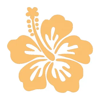 Samolepící dekorace Kytička 001 levá ibišek (08 - béžová) SAMOLEPKA NA AUTO, NÁLEPKA, FÓLIE, POLEP, TUNING, VLASTNÍ TEXT, TISK, AUTOSAMOLEPKY.cz, POLEPY, OBRÁZEK, LOGO, 3D STICKERS