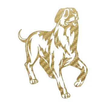 Polep vozidla SAMOLEPKA Pes 047 pravá (59 - 3D karbon zlatý) NA AUTO, NÁLEPKA, FÓLIE, POLEP, TUNING, VLASTNÍ TEXT, TISK, AUTOSAMOLEPKY.cz, POLEPY, OBRÁZEK, LOGO, SAMOLEPKY