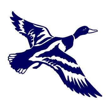 Samolepící dekorace SAMOLEPKA Kachna divoká 001 pravá kačer (23 - tmavě modrá) NA AUTO, NÁLEPKA, FÓLIE, POLEP, TUNING, VLASTNÍ TEXT, TISK, AUTOSAMOLEPKY.cz, POLEPY, OBRÁZEK, LOGO, SAMOLEPKY