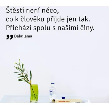 Samolepící dekorace FUGU Samolepka na zeď- Štěstí Barva: černá 070, Rozměr: text štěstí 97 x 37 cm